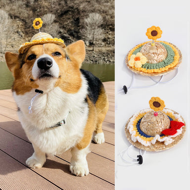 Adorable pet headwear