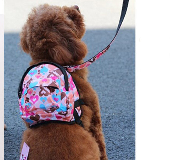 Multi-color model dog bag