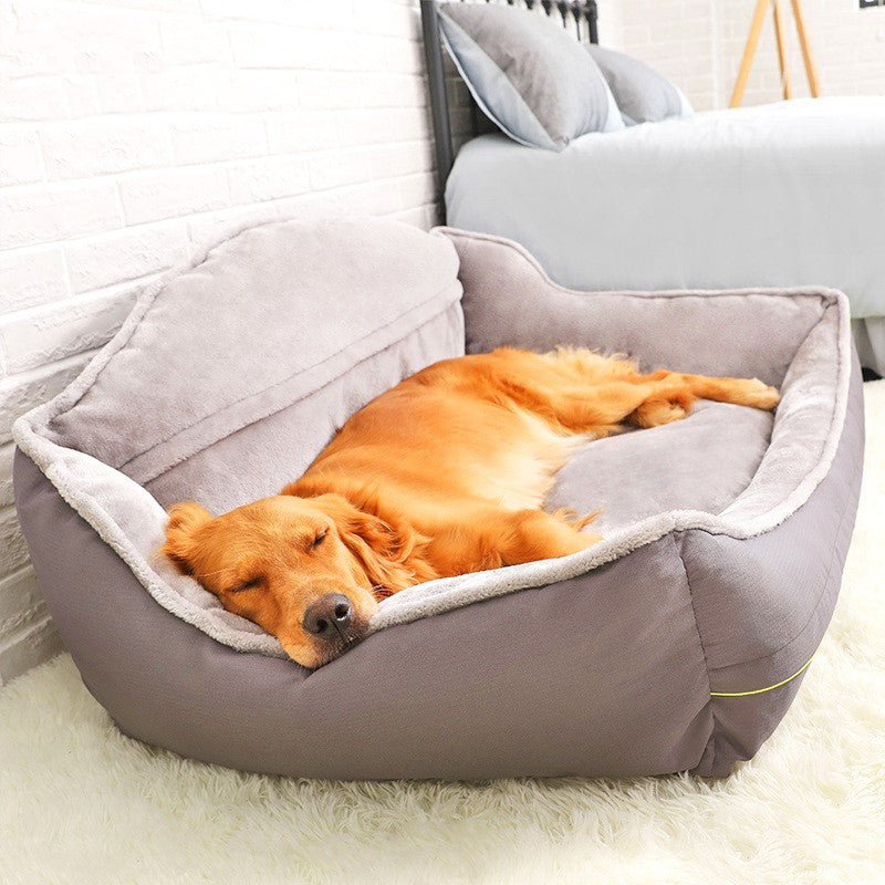 dog bed couch