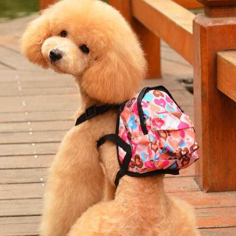 Multi-color model dog bag