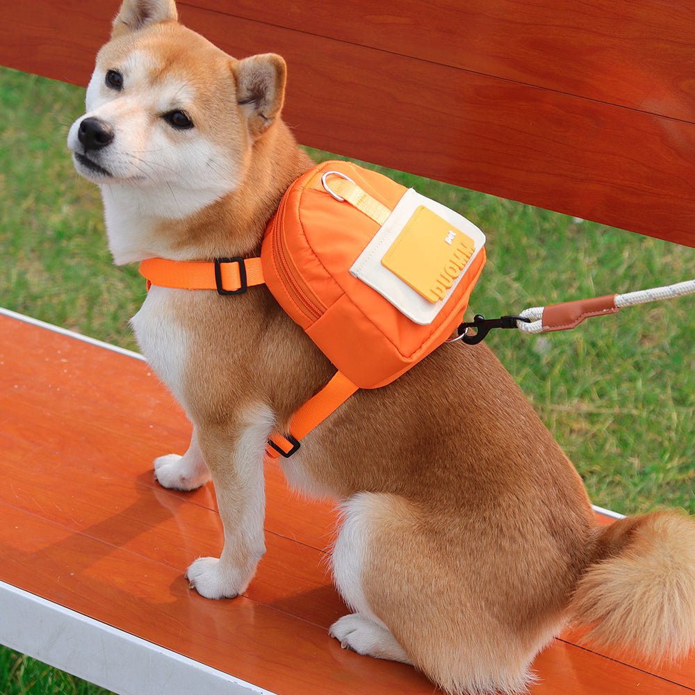 Dog backpack for dogs to wear best sale